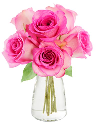 Kabloom Sweet as Can Be Pink Roses