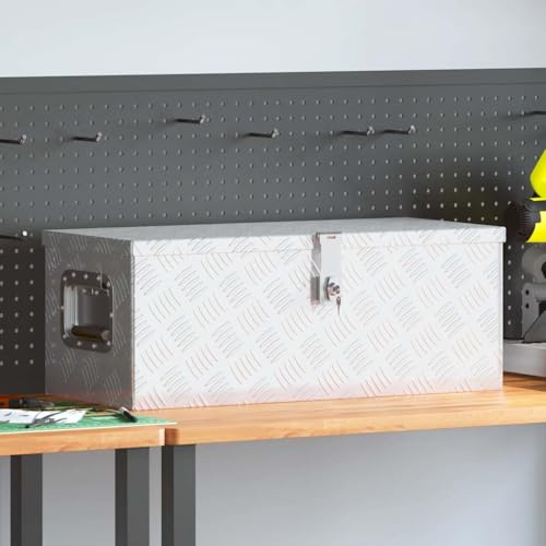 vidaXL Aufbewahrungsbox Aluminiumkoffer Aluminiumbox Lagerbox Lagerkiste Transportkoffer Transportkiste Silbern 70x31x27cm Aluminium