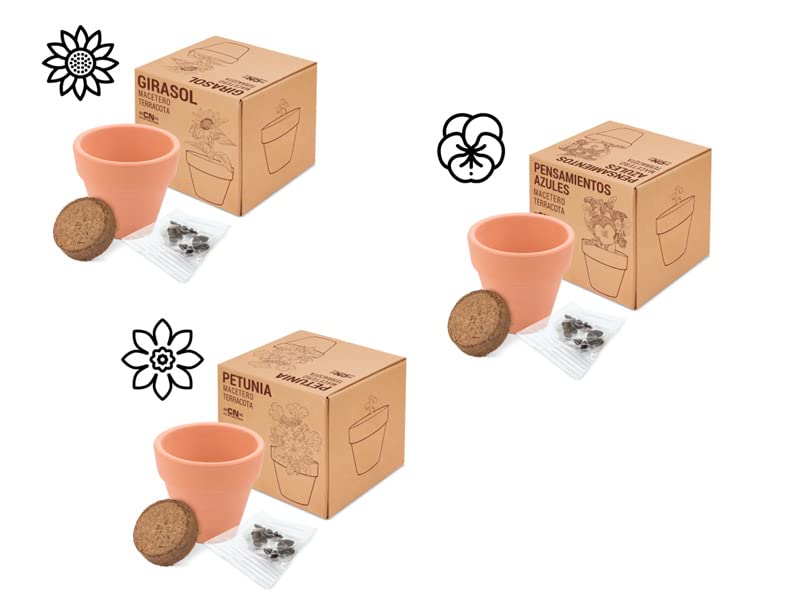 DISOK - Lote 15 a 60 Macetas Terracota Semillas en Caja. Detalles de plantas para bodas, regalos de macetas con plantas en boda, bautizos y comuniones. (30)