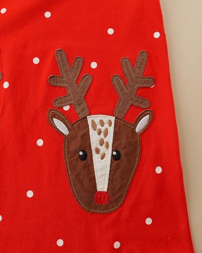 Image of Hongshilian Toddler Girls Longsleeve Dress Cotton Jersey Casual Dresses Cartoon Applique