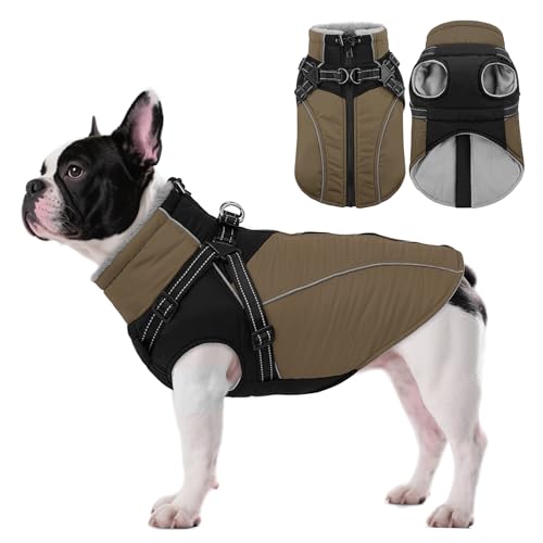 ASENKUˌpR[gn[lXtAht[XnhbOWPbgA^A^A^pA^[glbN&Wbp[t̒g~pxXg(J[LM)