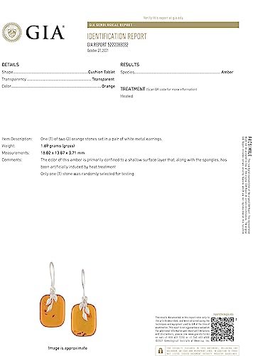 Amber Jewelry for Women - GIA Certified 925 Sterling Silver Baltic Honey Amber Earrings "Fern", Gemstone Dangle Earrings - Sterling Silver Jewelry Collection4