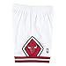 Mitchell & Ness NBA Swingman Shorts Bulls 97-98 White LG 9