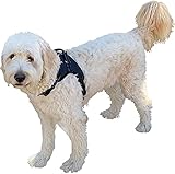 Labra Dog Canine K9 Chest Halter Harness for use with Labra Canine Knee Brace (Large)