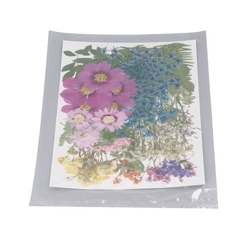 110 piezas flores prensadas secas para manualidades miniatura 3