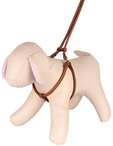 Collardirect Rolled Leather Dog Harness Small Puppy Step-In Leash Set For Walking Pink Red White Blue Green Black Purple Beige Brown Yellow (Brown, Xs) #TOP2