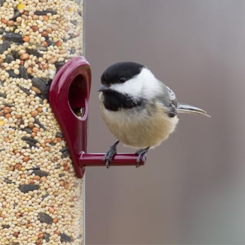 『There's a BirdNote for that!』のカバーアート