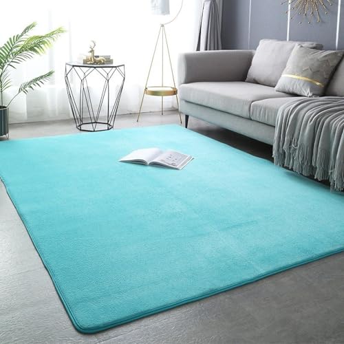 Tapis en velours corail sur mesure pour isoler les sols froids du salon