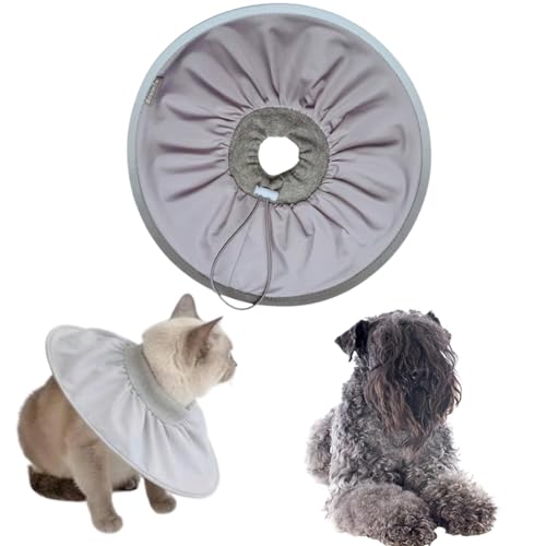 Lifetips�P���[�u���[�e���A�� �P���[�u���[���L���p �G���U�x�X�J���[ �h�� �\�t�g �y�� �p��P�A �����ی� �Ȃߖh�~ ���p ���E�ȒP �􂦂� �P�A�J���[(���[���~�X�g�O���[�j(S�j