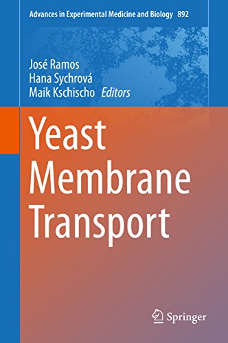 Yeast Membrane Transport (Advances in Experimental Medicine and Biology Book 892) (English Edition)