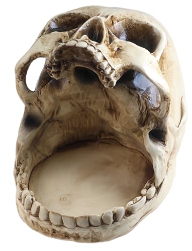 GuoShuang Gothic Skull Candy Bowl Decorative Key Holder Witchy Home Decor Retro Skull Sculpture for Halloween Party Entryway Key Bowl Gothic Desk Accessories & Unique Home Decor
