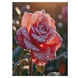 【Avantages du jeu de puzzles 】 les puzzles offrent un auto-examen et une attention supplémentaires, peuvent stimuler efficacement la pensée des gens, entraîner la réflexion, le jugement et la patience, stimuler le cerveau, calmer l'esprit et induire un état de méditation créative. Recommandé pour les adultes et les enfants de 12 ans et plus.