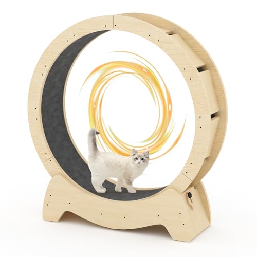 DKLGG Cat Wheel Exerciser