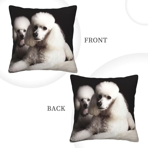 Housse de coussin caniche français pour sublimer votre canapé et votre lit - 5