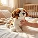 Imagen de RLOMUTE San Bernardo Peluche Suave