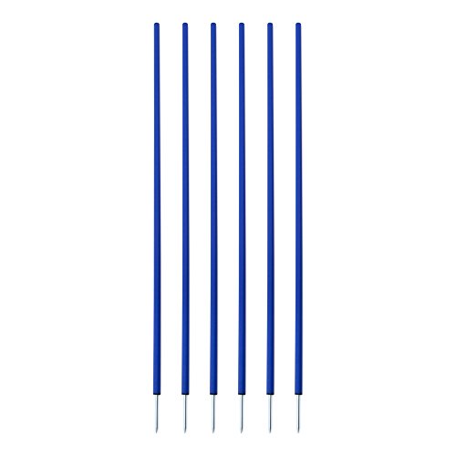 Champion Sports Coaching Sticks