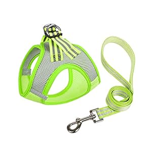 Gaimety reflektierendes Geschirr und Leine Set