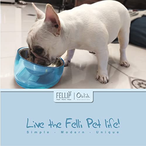 Image of Felli Pet Oblik Acrylic Raised Dog Food Water Bowl Stainless Steel Slanted Oval Dish for Short Leg Puppy & Small Medium Pet, Elevated Tilted Metal Feeder (Sapphire, 1.5 Cups Oval Dish)