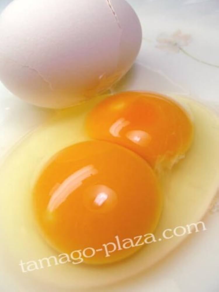 二黄卵 キミがニコのニコニコたまご 6個入りパック / 二黄卵 – 出雲ファーム