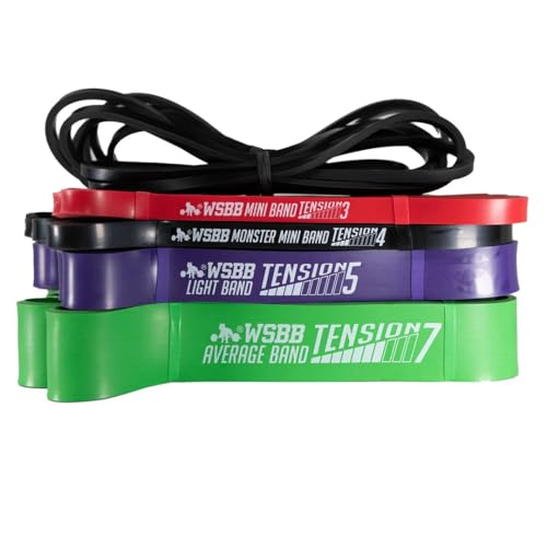 Westside Barbell Resistance Bands Set | 2X Micro, 2X Mini,
