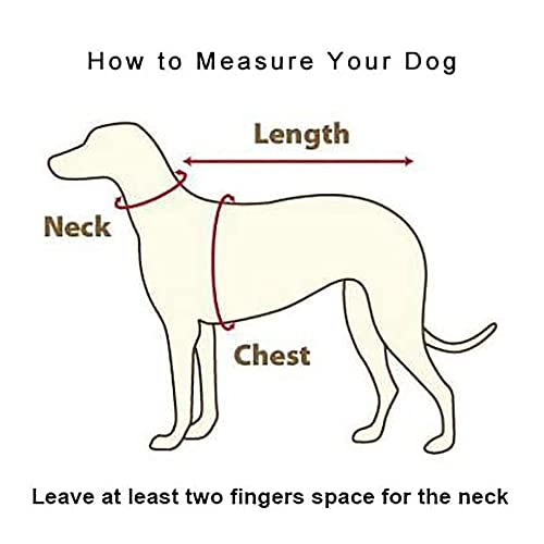 Dog Harness For Small & Medium Dogs No Pull Puppy Harness Adjustable Soft Dog Vest Harness Pet Harness Padded Pet Vest Harness For Outdoor Walking Training Dogs Cats(Pink ,Xs) #TOP3