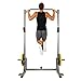 Sunny Health & Fitness Power and Squat Rack with High Weight Capacity, Olympic Weight Plate Storage and 360° Swivel Landmine and Power Band Attachment