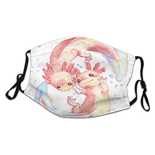 7 Best Filters For Axolotls How To Keep Your Pet Axolotl’s Aquarium