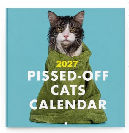 Cat Calendar 2027, Funny Cats Wall Calendar with 12 Hilarious Scenes