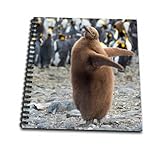 8 x 8 inches spiral bound glossy hard covered 9/16 inch twin loop wire binding spine 50 unlined pages, 8 x 7.75 inches - page thickness is 80lb text Acid free blank bright white non-coated paper Pages lay flat when book is opened