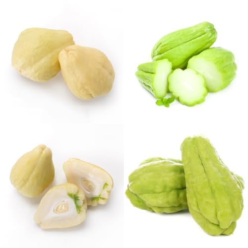 chayote de jardín semillas de chayote semillas hortalizas resistentes interior, hortalizas, balcón decoraciones jardín exteriores 30semillas