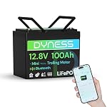 Dyness – Dyness LiFePO4 12V 100Ah Lithium Batterie Bluetooth Mini mit