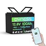 Dyness Batterie Lithium 12V 100 Ah Mini Bluetooth LiFePO4 avec Protection 100A BMS, Batterie Lithium Camping-Car pour kit Panneau Solaire, Caravane