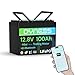Dyness LiFePO4 12V 100Ah Lithium Batterie Bluetooth Mini mit 100A BMS, Max.15000 Zyklen, 12V Deep Cycle Lithium Eisenphosphat Batterie für Wohnwagen, Solar Home Systeme, Boote