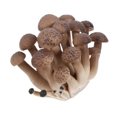 Cabilock Décoration De Jardin De Champignons Figurine De Champignons Décoration Extérieure De Champignons pour Jardin Bonsaï