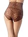 iB-iP Women's Sexy Lace Knickers See Through Underwear High Waist Hipster Panties, Size: 10, Brown