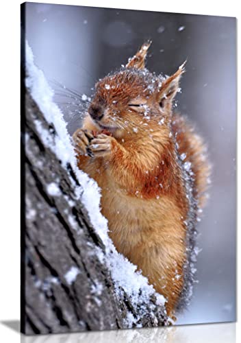 Image of Panther Print Fine Art Prints Chilly Cute Red Squirrel Wildlife Artistic Framed Canvas Print, Pictures for Home Walls, Bedroom, Living Room & Bathroom Decor 31x20cm (12x8in)
