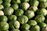 Rosenkohl frisch 1 kg Packung