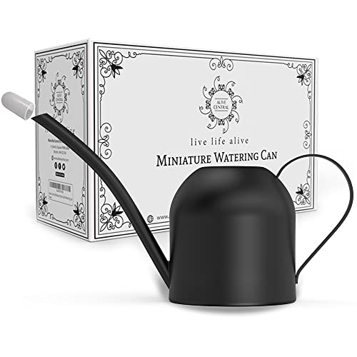 Small Watering Can for Indoor Plants - Mini Wateri