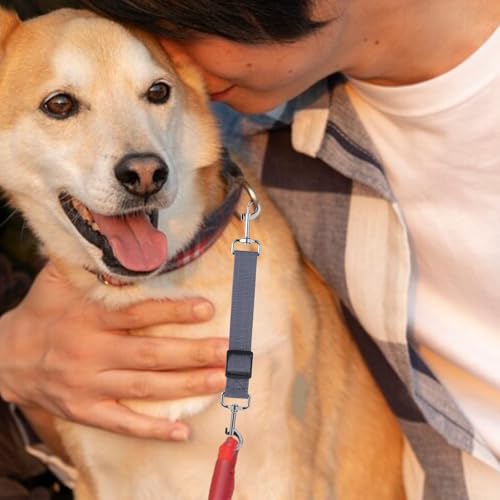 Qianyu 2 Stück Sicherheitshalsbandclips für Hunde Verstellbar Stachelhalsband Sicherungsverschluss Leinenverbinder Leinenclips für Hundewelpen Geschirr Halsband Begleiter Sicherheitsclip