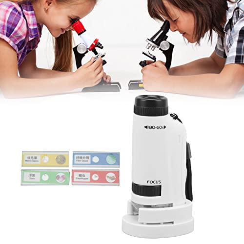 Microscópio para Crianças, Microscópio Portátil Portátil Com Luz LED, Mini Microscópio de Bolso para