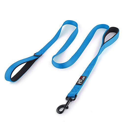 Plutus Pet Dog Leash 6ft Long,Traffic Padded Two Handle,Heavy Duty,Reflective Double Handles Lead for Control Safety Training,Leashes for Large Dogs or Medium Dogs,Dual Handles Leads(Light Blue)