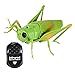 chiwanji Jouet de Sauterelle RC de Simulation, Fournitures de fête de Sauterelle d'insecte, Jouet Animal télécommandé pour Enfants Cadeaux pour Enfants