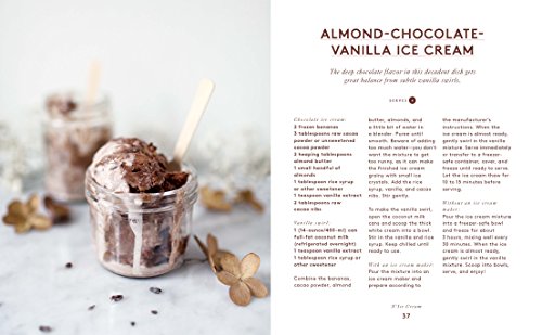 N'ice Cream: 80+ Recipes for Healthy Homemade Vegan Ice Creams: A Cookbook