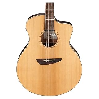 Ibanez PA230E-NSL – Guitare Acoustique - Les Beatles, Paul McCartney, John Lennon, RIngo Starr, George Harrison Ibanez PA230E-NSL - Guitare Acoustique – Image 5