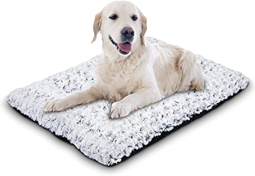 JOEJOY Cama Perro, Cama Perros Pequeños Medianos Sofá para Perro Super Suave Cama para Perros Antideslizante Lavable Caseta Perro para Perros y Gatos Pequeños y Medianos (74 x 53 x 7 cm) Cover