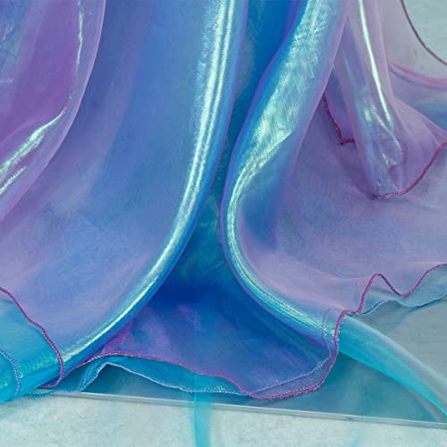Hovyjumz Women Ariel Costume Mermaid Cosplay Princess Dress Mermaid Fishtail Skirt Live Action Film Halle Bailey Deluxe Set (Blue Fishtail Dress, Large) #TOP5