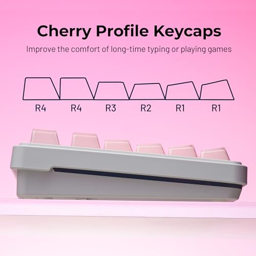 Image of HITIME XVX Crystal Jelly Keycaps 75 Percent, Cute Custom Keycaps 95 Keys with 20 Keys Clear Key caps, Cherry Profile for 61 /68 /84 /87 Cherry Gateron MX Mechanical, Side Printed, Pink