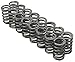 Manley 22110-16 Valve Spring, 16 Piece