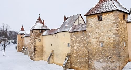 Winter is coming! Medieval Winter in Europe: From Freezing Castles to Cozy Feasts copertina