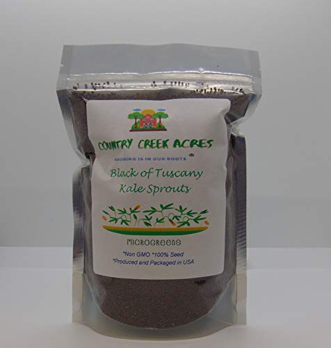 12 oz Kale-Black of Tuscany Seeds for Microgreens- Sprouting Seeds- Country Creek LLC